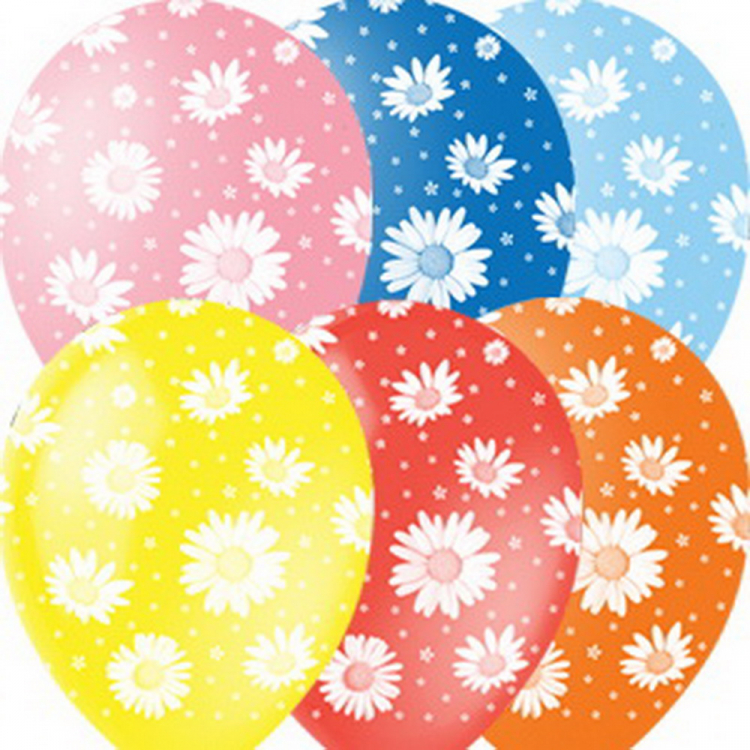 Шар Ромашки, Ассорти, 5 ст